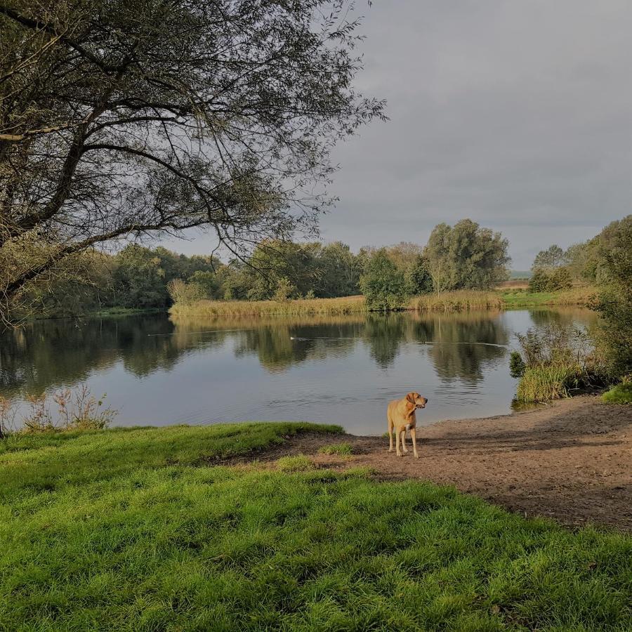 Вилла In De Bocht Хейло Экстерьер фото